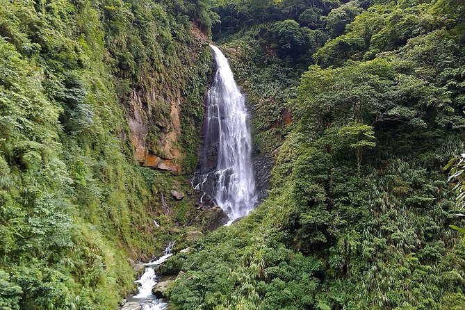 1D Tour to Cingjing Farm from Taichung - Leaving Taichung for Taiwan’s High Country