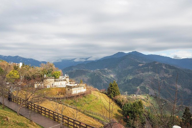 1D Tour to Cingjing Farm from Taichung - Wuling at 3,275 Meters, Views Without a Climb