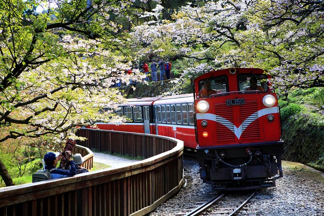 8 Day Private Tour Around Taiwan - Day 4: Taroko Gorge and a beach buggy ride