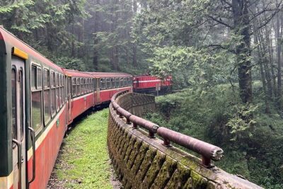 Alishan Day Tour from Chiayi (Incl. Park Entrance)