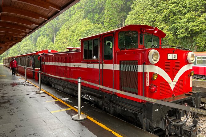 Alishan Day Tour from Chiayi (Incl. Park Entrance) - The Alishan train is an optional extra