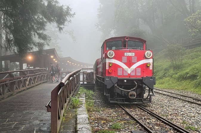 Alishan Day Tour from Chiayi (Incl. Park Entrance) - Food, souvenirs, and what to bring