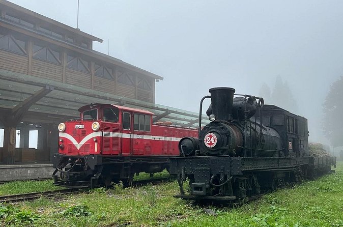 Alishan Day Tour from Chiayi (Incl. Park Entrance) - Is $85 a fair price?