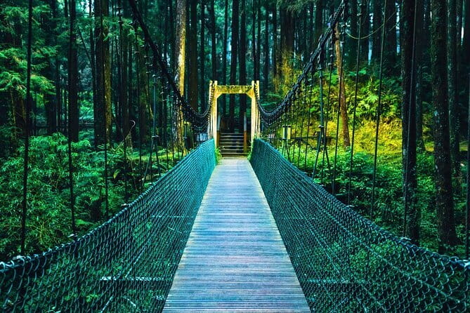 Alishan Join In Day Tour from Taichung (Incl. Park Entrance) - Why Alishan Works as a One-Day Trip from Taichung