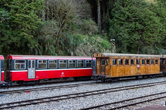 Alishan Join In Day Tour from Taichung (Incl. Park Entrance) - Entering Alishan at About 2,200 Meters