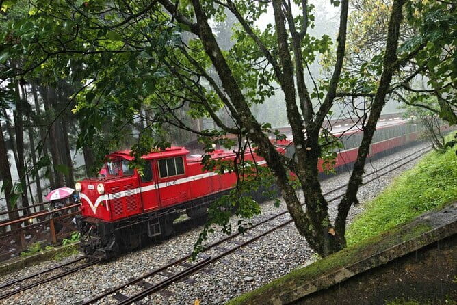 Alishan One Day Tour from Taichung - Longyin Temple starts the morning quietly