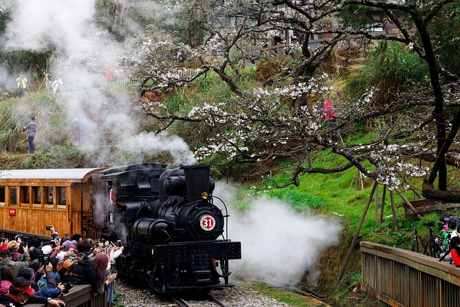 Alishan Taiwan 2 Day Private Tour from Taipei - Hinoki Village and Taiwan’s forestry past