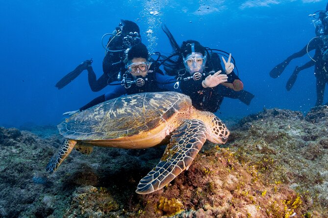 Discover Scuba Diving With Sea Turtles – Xiaoliuqiu, Taiwan - Is $83 a fair price?