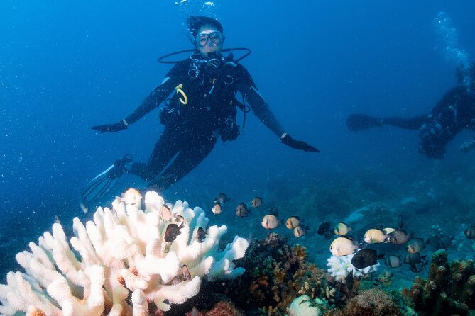 Discover Scuba Diving With Sea Turtles – Xiaoliuqiu, Taiwan - Who will enjoy this experience most?