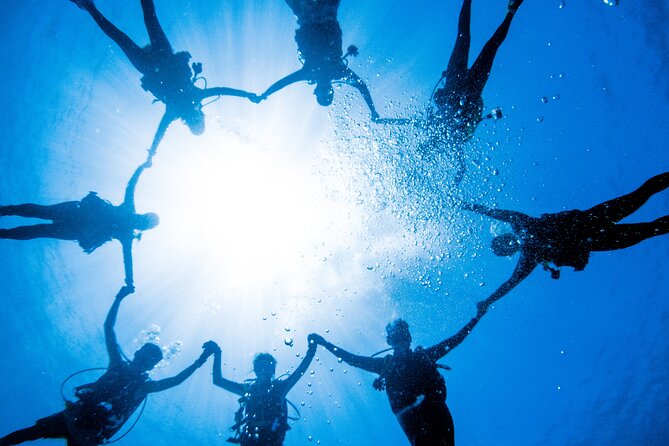 Discover Scuba Diving With Sea Turtles – Xiaoliuqiu, Taiwan - Practical planning for your Xiaoliuqiu day