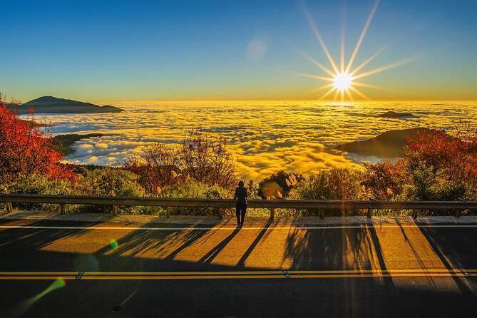 Exclusive 3-Day Sun Moon Lake & Alishan Private Tour - Key points at a glance