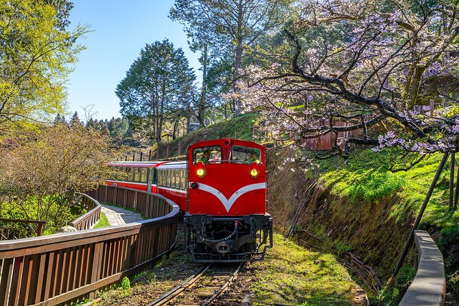 Exclusive 3-Day Sun Moon Lake & Alishan Private Tour - Day two: Chiayi train tracks and Alishans old trees