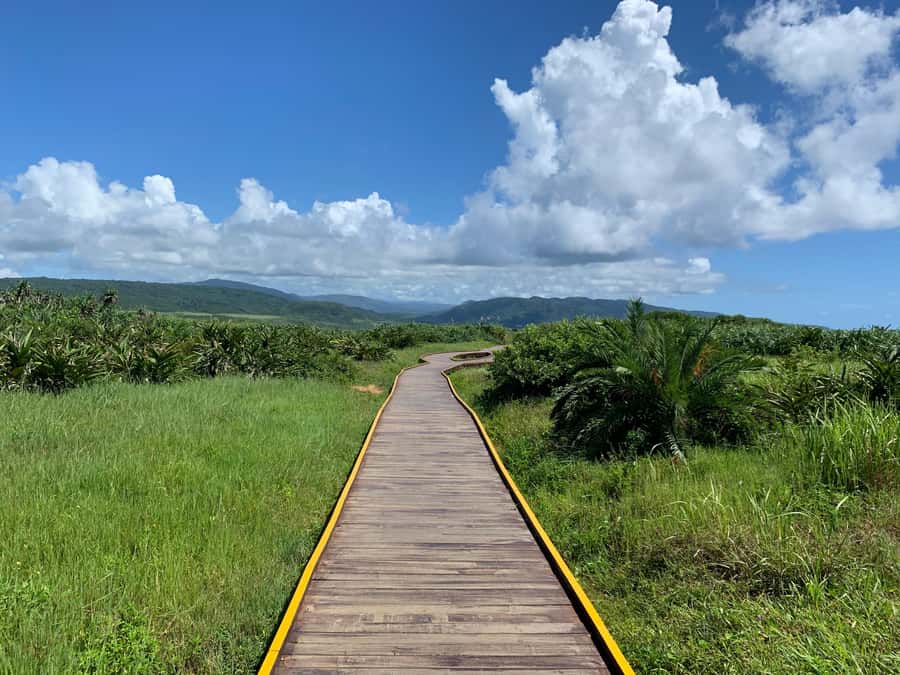 From Kaohsiung: Kenting & Ocean Coast Private Day Tour - Why Kenting works as a day trip from Kaohsiung