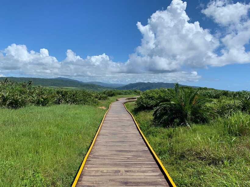 From Kaohsiung: Kenting & Ocean Coast Private Day Tour - Who should book this Kenting tour