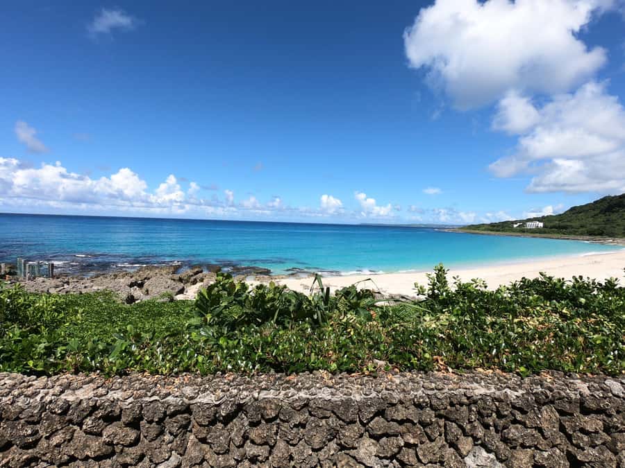 From Kaohsiung: Kenting & Ocean Coast Private Day Tour - The road south and the National Museum of Marine Biology