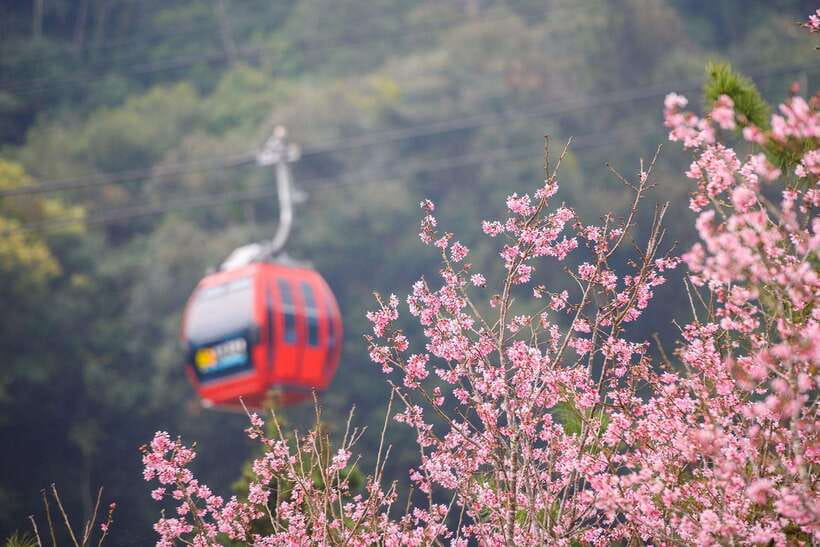 From Taipei: 1 Day Sun Moon Lake Private Tour - Who will like this day trip most?