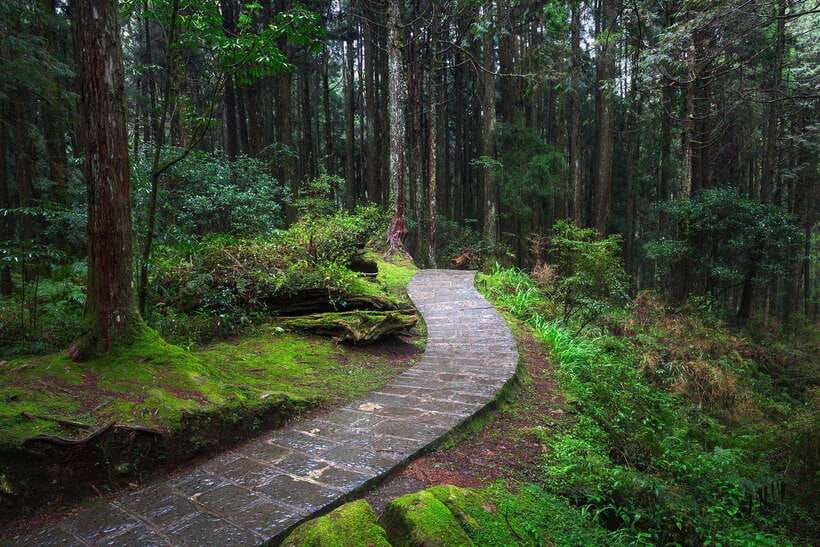 From Taipei City: 3-Day Sun Moon Lake & Alishan Private Tour - Key points at a glance