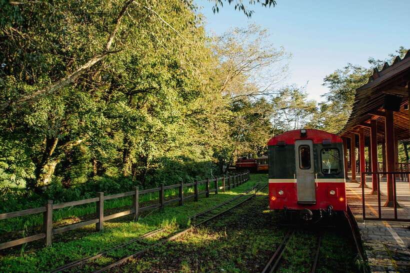 From Taipei City: 3-Day Sun Moon Lake & Alishan Private Tour - Day 2: From the lake to Alishan’s forest roads