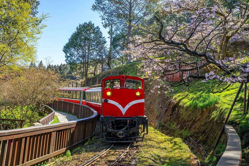 From Taipei City: 3-Day Sun Moon Lake & Alishan Private Tour - Riding the Alishan Forest Railway