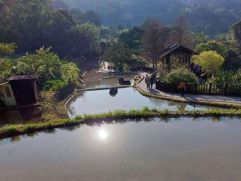 From Taipei: Pinglin Tea Culture and Maokong Guided Day Tour - How the day feels in practice