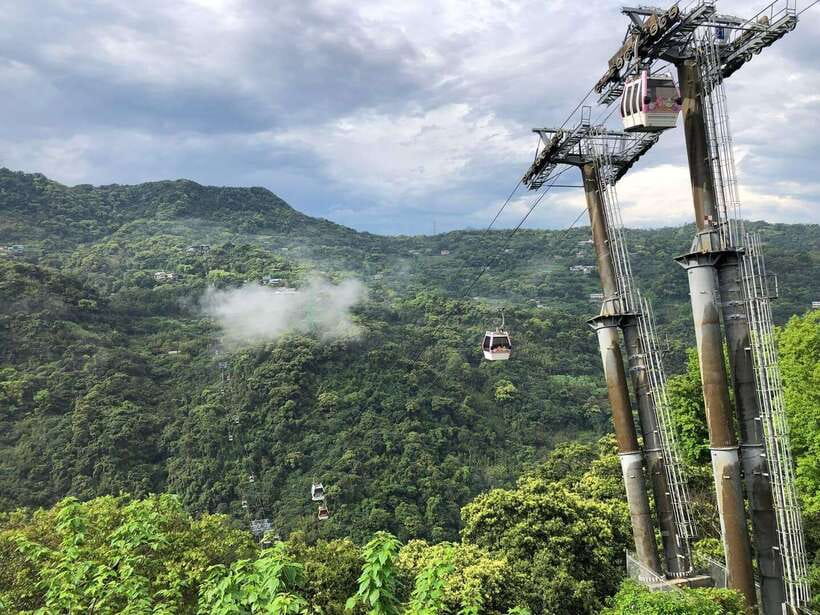 From Taipei: Pinglin Tea Culture and Maokong Guided Day Tour - From Taipei to Maokong by gondola