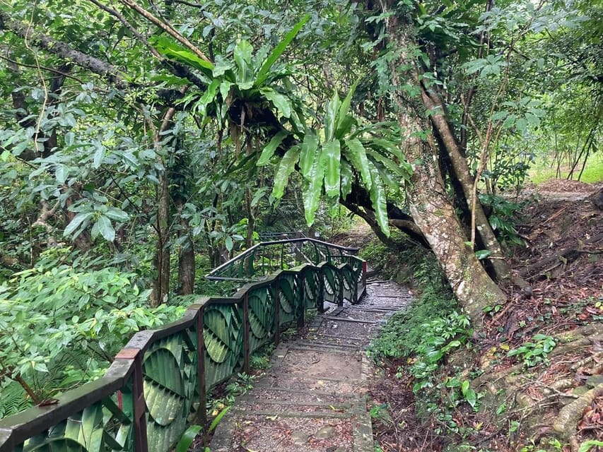 From Taipei: Pinglin Tea Culture and Maokong Guided Day Tour - Lunch and tea houses in Maokong