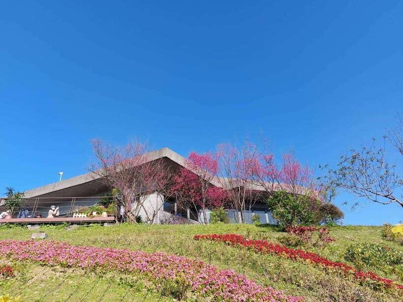 From Taipei: Pinglin Tea Culture and Maokong Guided Day Tour - The Bagua Tea Plantation