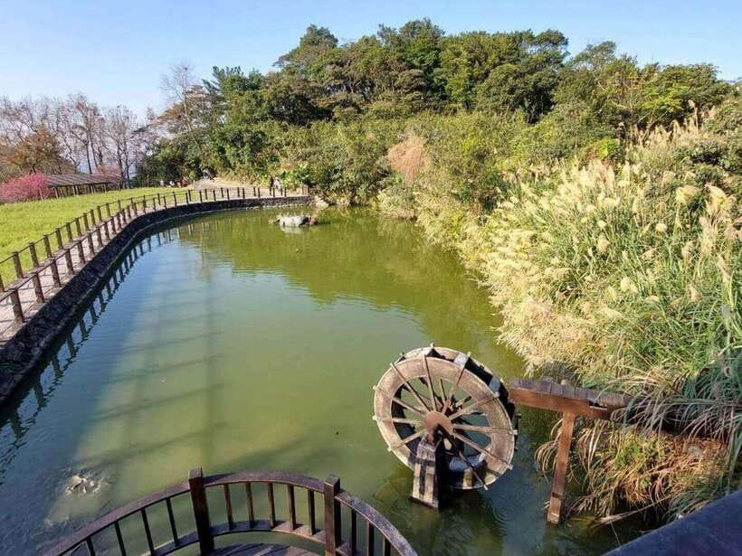 From Taipei: Pinglin Tea Culture and Maokong Guided Day Tour - The Pinglin tea tasting
