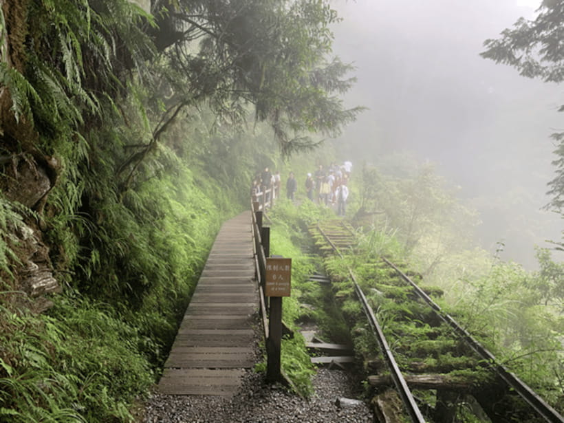 From Taipei: Taipingshan National Forest Private Day Tour - Key points to know before booking