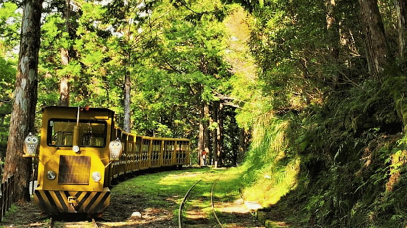 From Taipei: Taipingshan National Forest Private Day Tour - A private ride makes the long mountain road easier