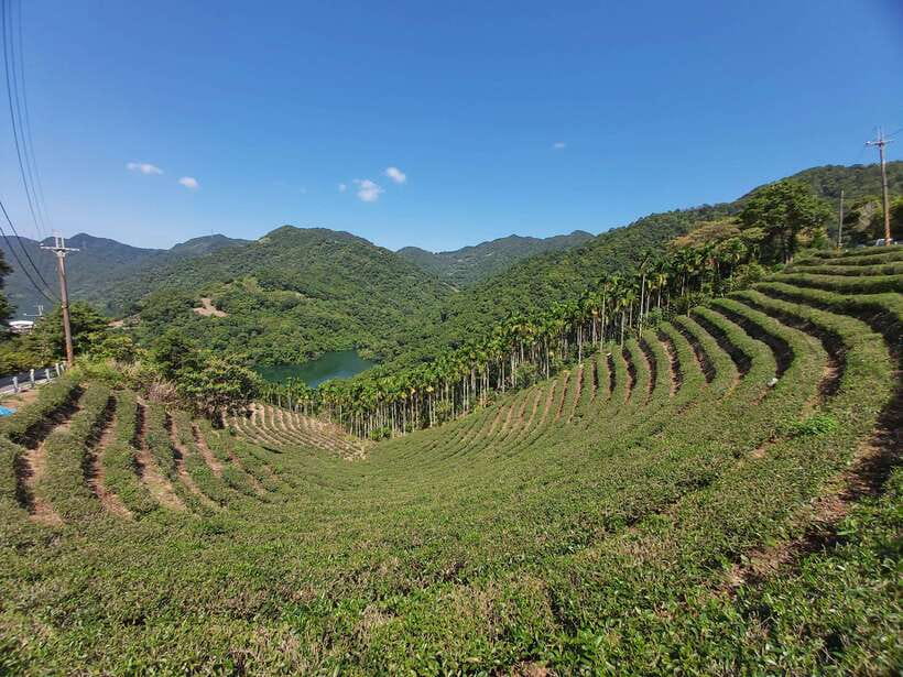 From Taipei: Thousand Island Lake and Pinglin Tea Plantation - Leaving Taipei for Shiding’s mountain roads