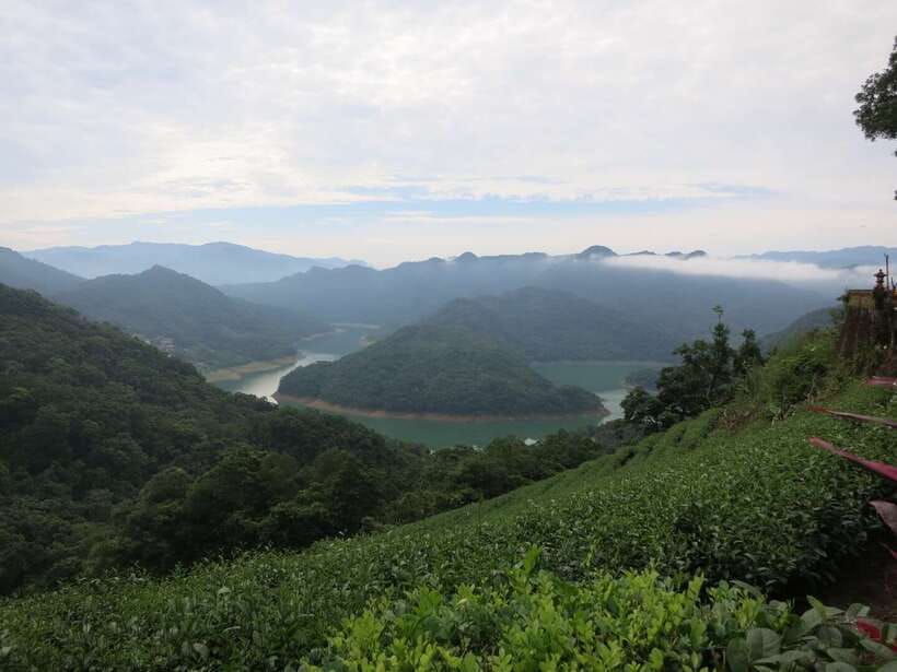 From Taipei: Thousand Island Lake and Pinglin Tea Plantation - Pinglin Tea Plantation and the craft behind the cup
