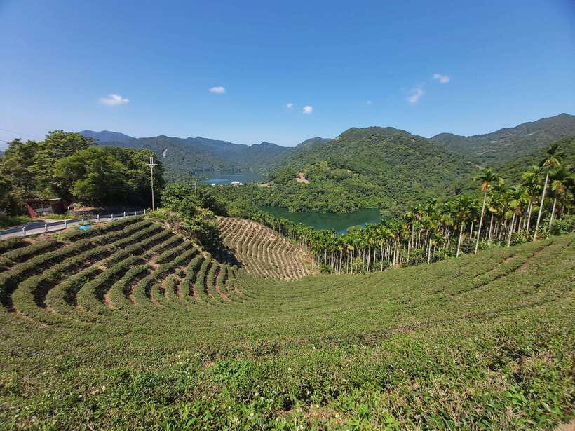 From Taipei: Thousand Island Lake and Pinglin Tea Plantation - Inside the Pinglin Tea Museum