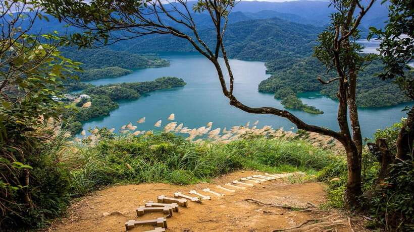 From Taipei: Thousand-Island Lake & Tea Museum Private Tour - Understanding Taiwanese tea at Pinglin Tea Museum