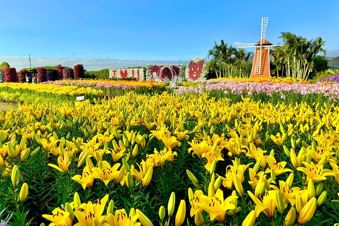 Gaomei Wetlands, Rainbow Village, Miyahara & Zhongshe from Taipei - Why this day trip works from Taipei