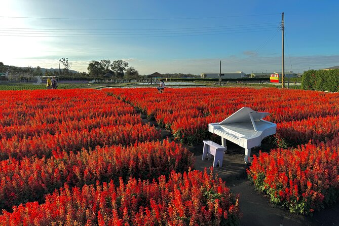 Gaomei Wetlands, Rainbow Village, Miyahara & Zhongshe from Taipei - Chun Shui Tang, where bubble milk tea began