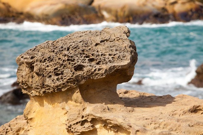 Half Day Private Tour to Yangmingshan National Park and Yehliu Geopark - Xiaoyoukeng’s sulfur vents and post-volcanic ground