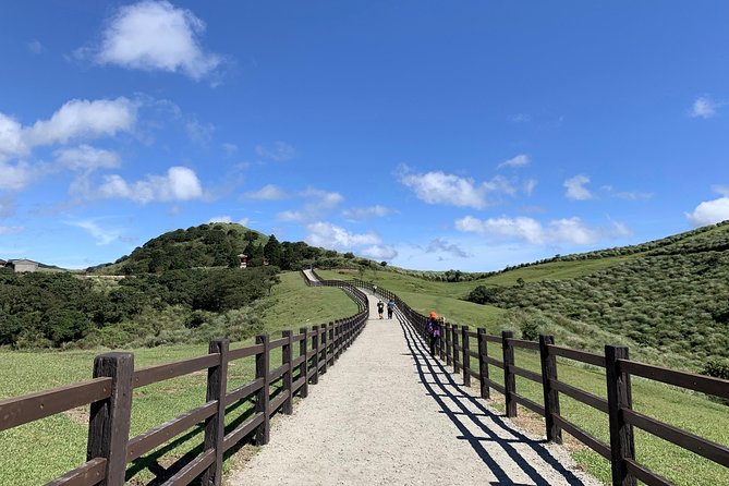 Half Day Private Tour to Yangmingshan National Park and Yehliu Geopark - Final call: an efficient choice with real flexibility