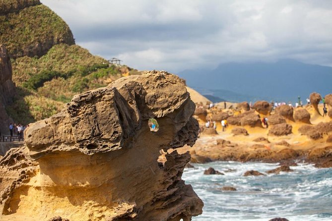 Half Day Private Tour to Yangmingshan National Park and Yehliu Geopark - Yangmingshan’s cooler air and volcanic character