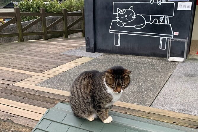 Jiufen, Shifen and Houtong Cat Village Private Tour - Four Northern Taiwan highlights in one day