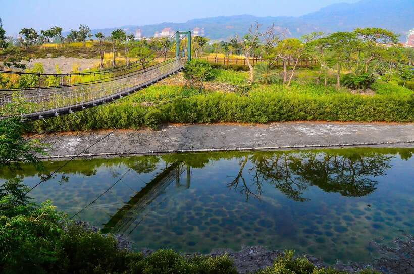 Kaohsiung: Private Walking Tour with a Local - The main strengths and the one real weakness
