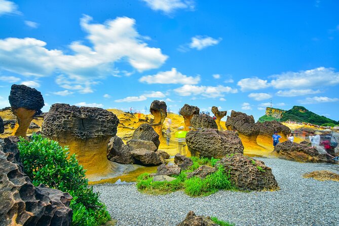 Keelung Shore Excursion: Private 6H Natural Wonder & Seafood Tour - The private vehicle and guide arrangement