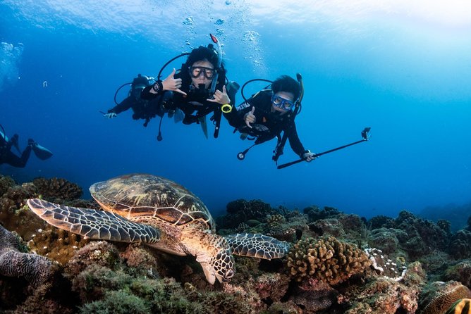 Kenting, Taiwan|PADI Basic Diving License Course|Taiwan Diving Open Water Course - Day three: four sea sessions and the final check