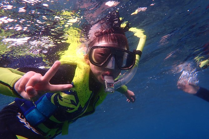 Kenting, Taiwan｜Snorkeling Free underwater photography One-on-one with instructor｜Taiwan Diving Snorkeling - What you might see below the surface