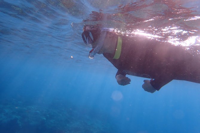 Kenting, Taiwan｜Snorkeling Free underwater photography One-on-one with instructor｜Taiwan Diving Snorkeling - The value of the $28 price
