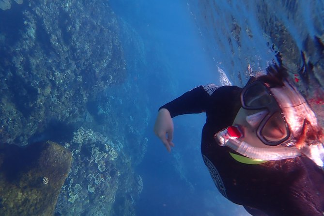 Kenting, Taiwan｜Snorkeling Free underwater photography One-on-one with instructor｜Taiwan Diving Snorkeling - A short schedule with little wasted time