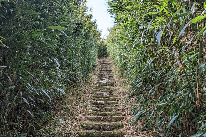 One Day Hike around Taipei's Yangmingshan National Park - Climbing Qixingshan for the main mountain views