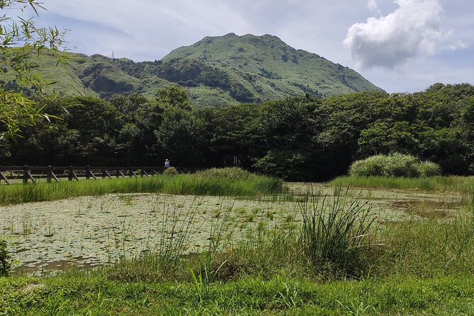 One Day Hike around Taipei's Yangmingshan National Park - Qingtiangang grassland and its water buffaloes