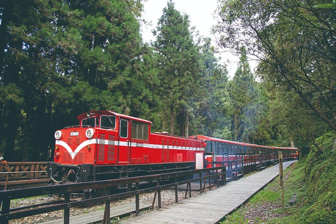Private 3-Day Tour to Sun Moon Lake and Alishan - Day 2: Alishan’s forests, temples, and mountain roads