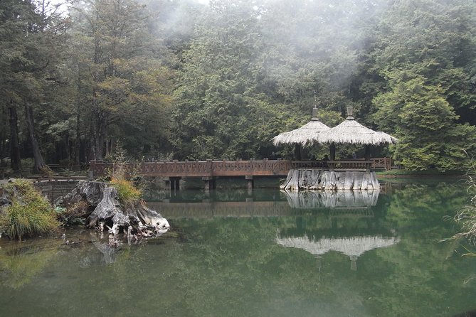 Private 3-Day Tour to Sun Moon Lake and Alishan - Day 3: Museum culture and the route back to Taipei